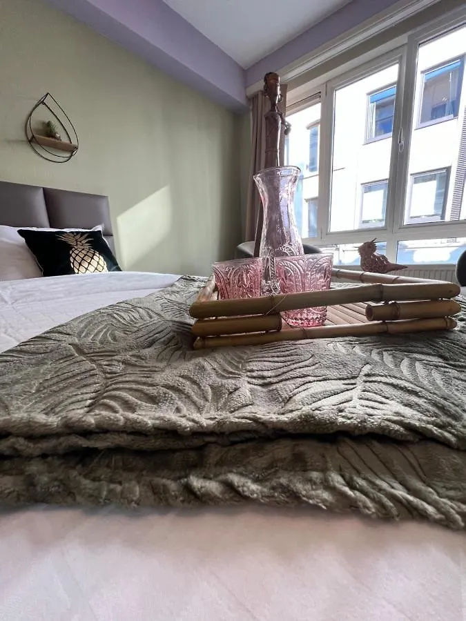 Lotelito Roomzzz Antverpy Belgie
